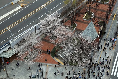 東急プラザ銀座 キリコテラスからの眺め