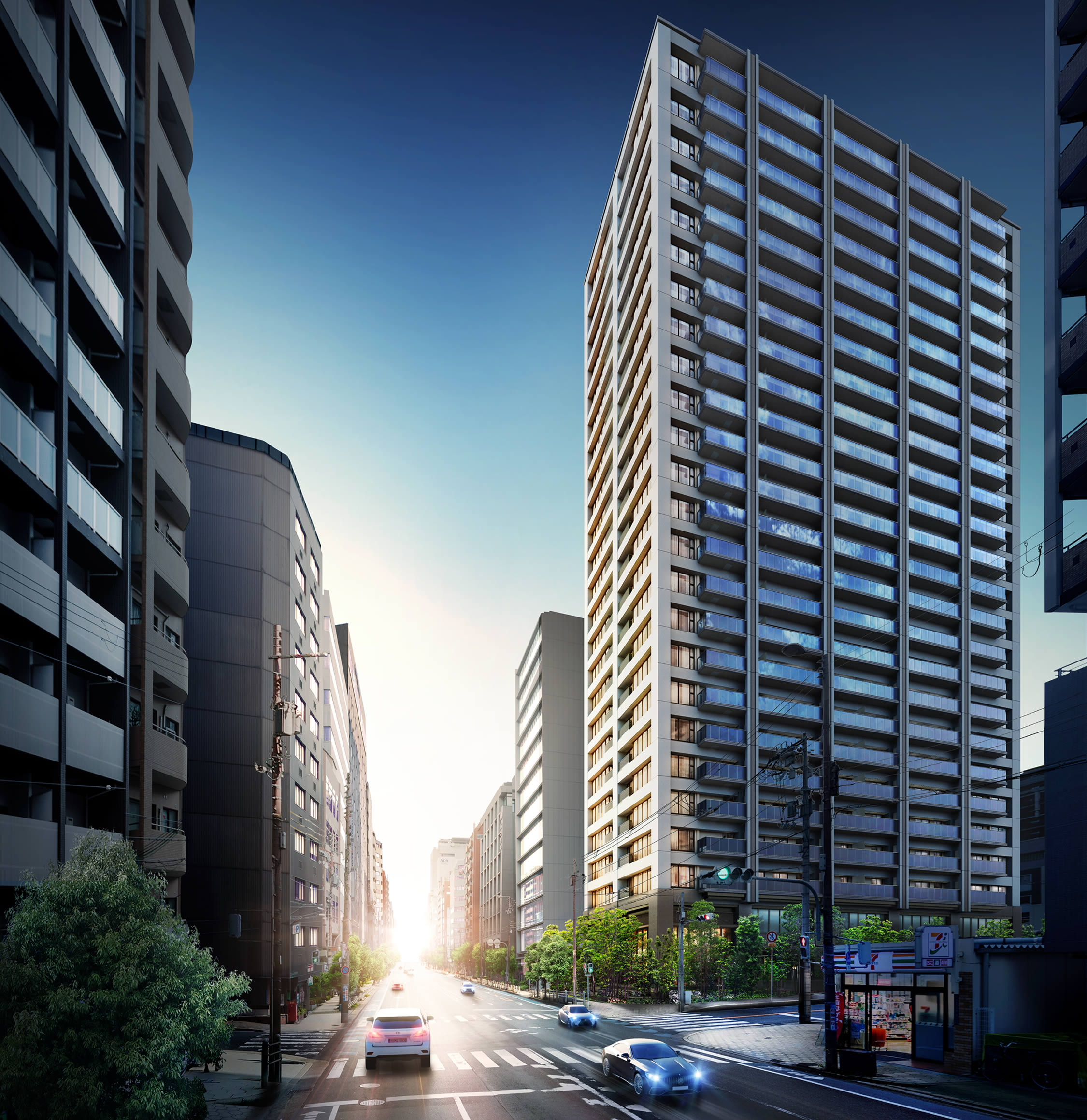 ④　クワズイモ　8号　特大苗木最高等級極上品‼️ クワズイモ 8号 特大苗木最高等級極上品 クワズイモ 8号サイズ