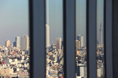 ���϶���꤫�鸫������������ĥ꡼