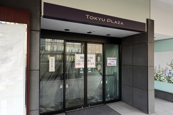 �����ư���ֺ�ӥ�