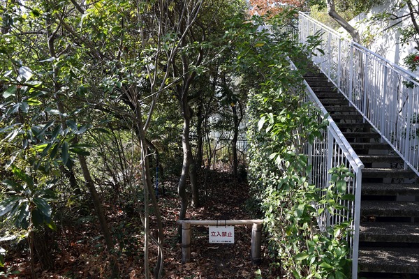 ¥¢¥¯¥í¥¹»³