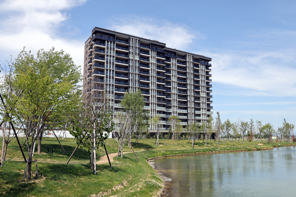 �졦���������̳�ƻ�ܡ���ѡ���