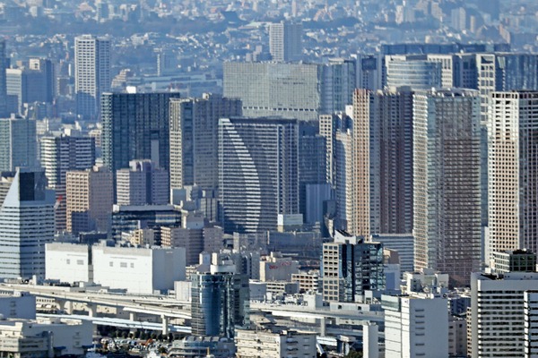 ��ӥ��������