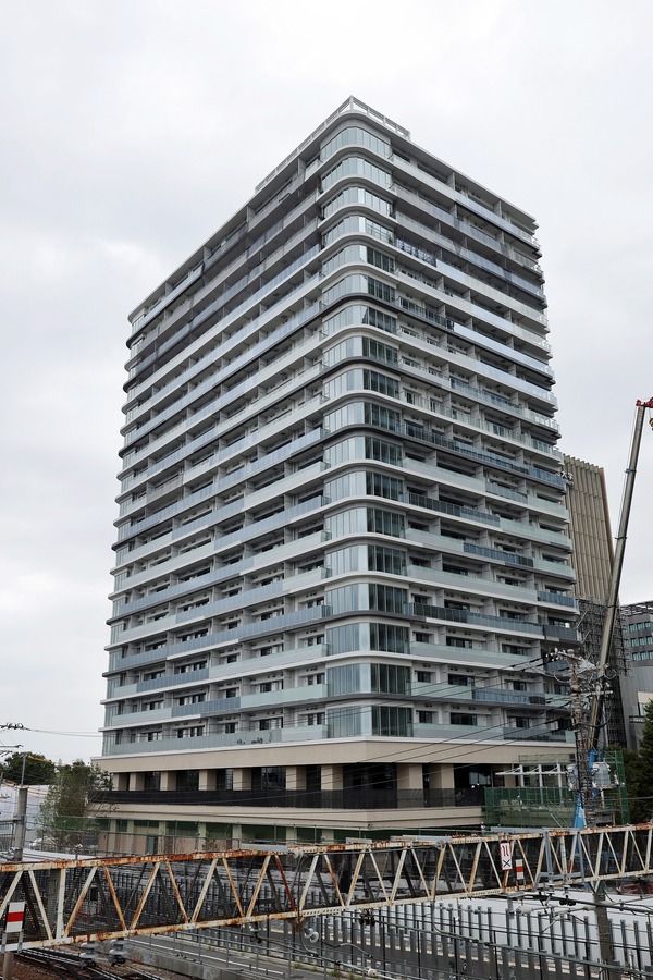 �ѡ������ƥ����� �� ��� �֥꡼��