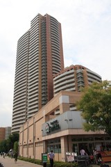 ����Į����ե������ǥ�