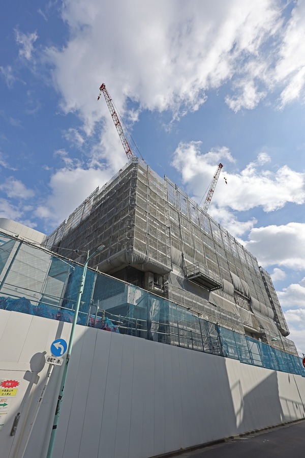 �ѡ��������ë����