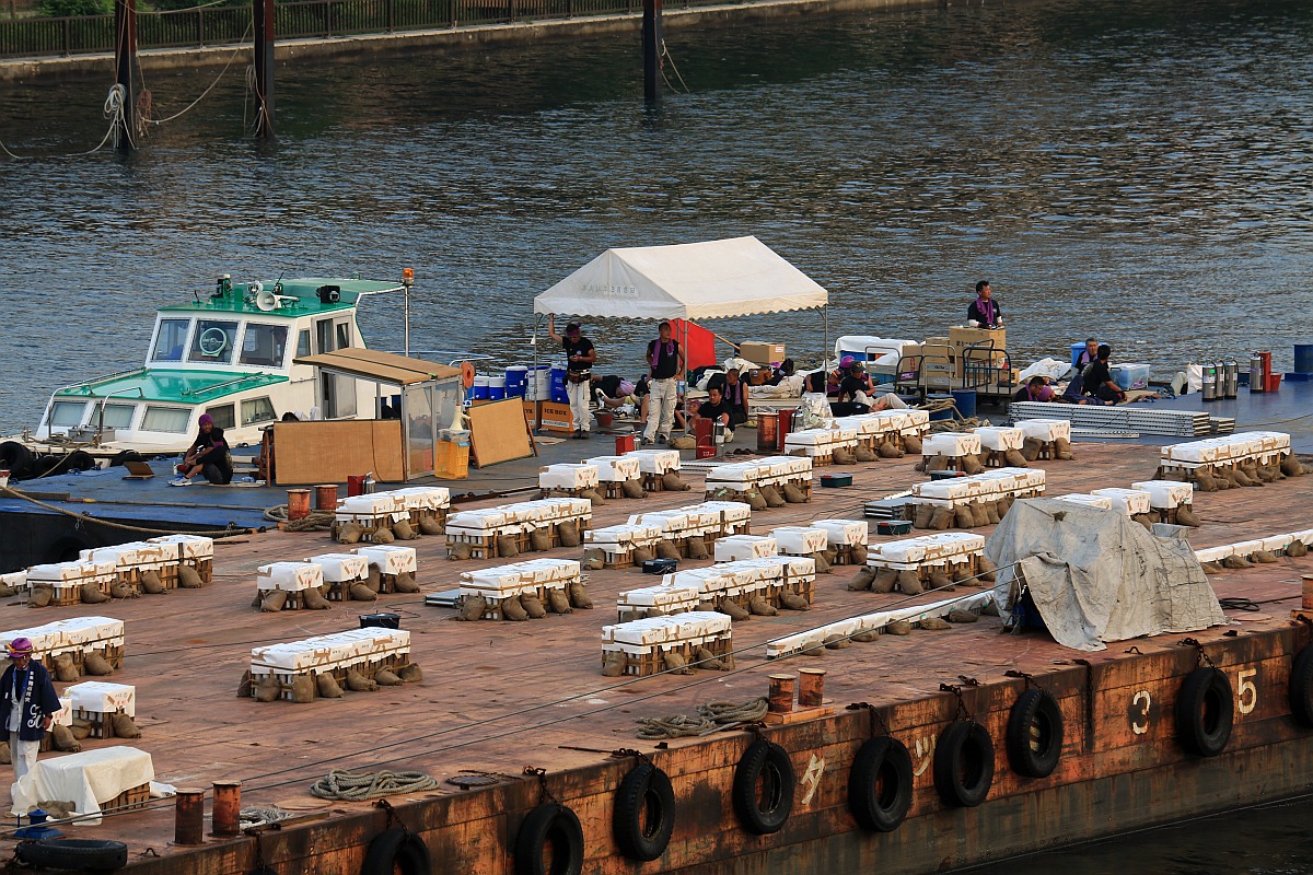 第37回隅田川花火大会を至近距離で見てきた 超高層マンション 超高層ビル