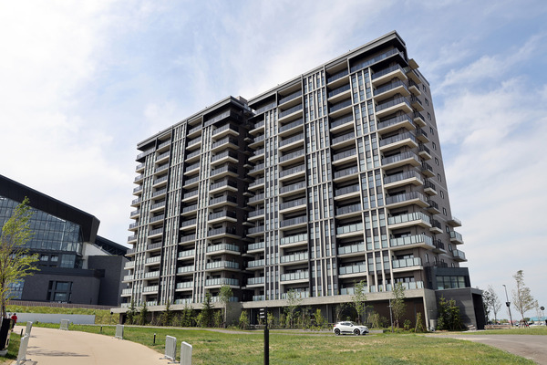 �졦���������̳�ƻ�ܡ���ѡ���