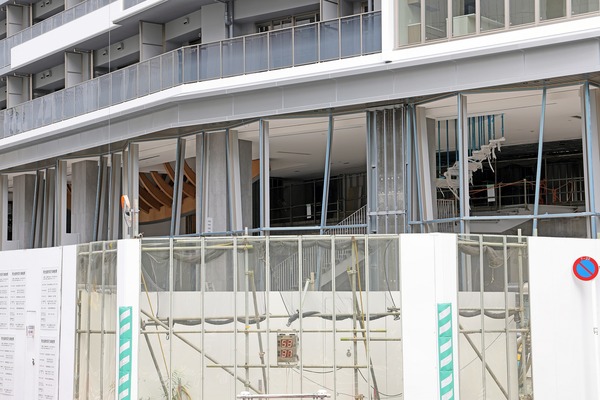 ��ӥ��������