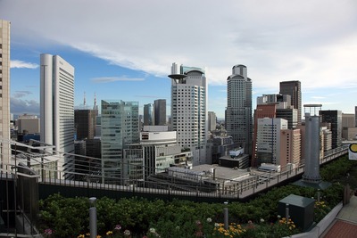 �Ρ��������ȥӥ�ǥ��󥰤�ŷ�������फ�鸫������