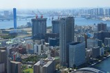 THE TOKYO TOWERS