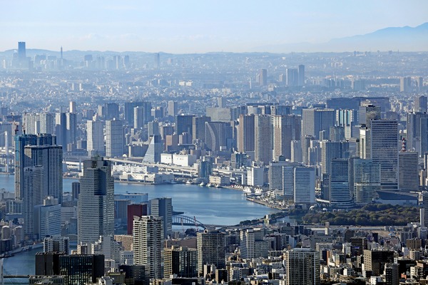 ��ӥ��������