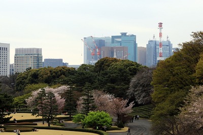 (²¾¾Î)¿·ÆüÈæÃ«¥×¥í¥¸¥§¥¯¥È