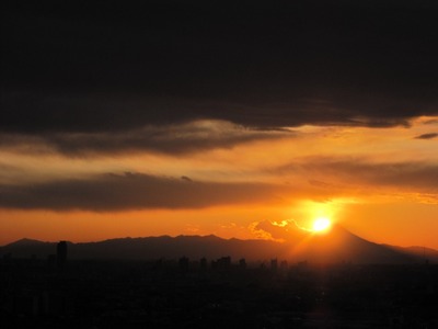 �ϡ���ͥ���������������������ٻΡ��ΰ��������