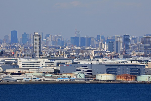 ���ͥޥ�󥿥�����į��