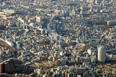 ���� �Ķ�