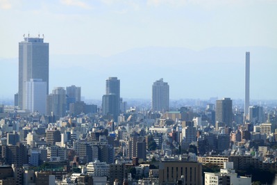 �������ѡ�����������齻�����į��