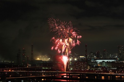 ��28����ֲ����