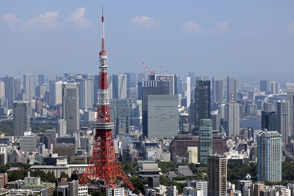 �����ǰץ��󥿡��ӥ�ǥ����ܴ�