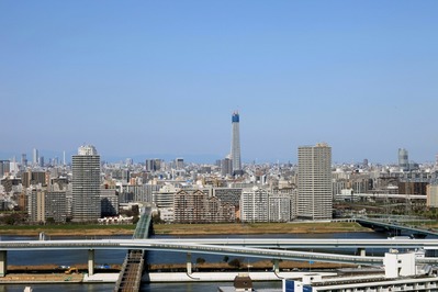 ����������ĥ꡼���̤�į��