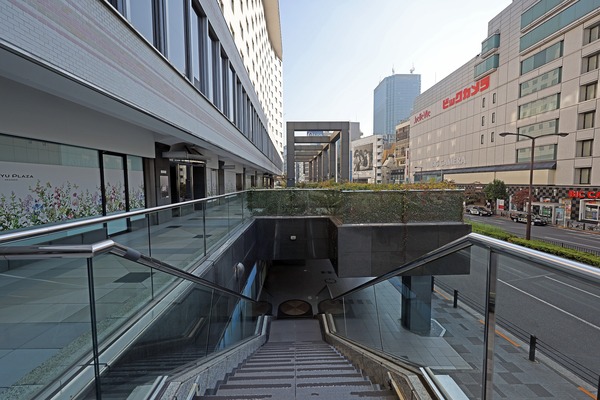 �����ư���ֺ�ӥ�