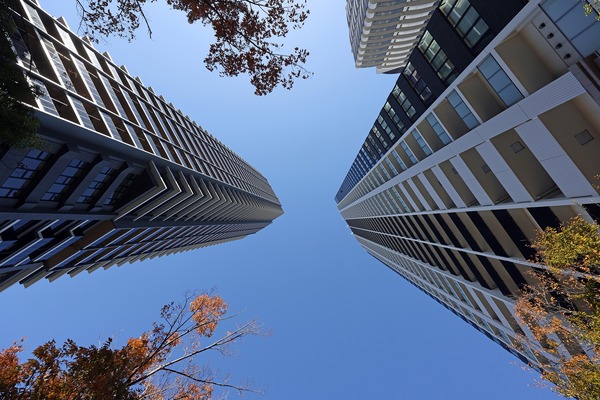 �����ɥ᥾���Ӳ���������ȥ����ɥ᥾��The�Ӳ������ǥ󥿥