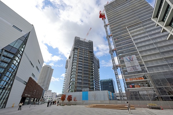 W TOWERS ̧������