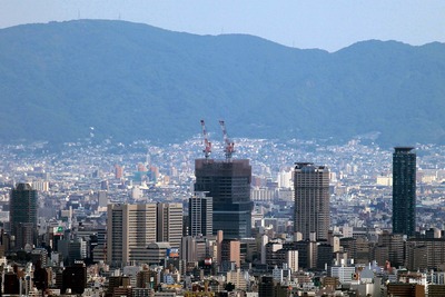 �����⥿����鸫���֤��٤Υϥ륫����