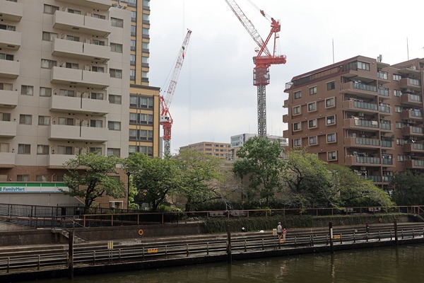 ¥»¥ó¥È¥é¥ë¥¬¡¼¥Ç¥ó·îÅç ¥¶ ¥¿¥ï¡¼