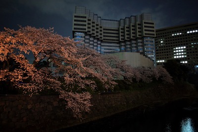 夜桜と解体中の赤プリ