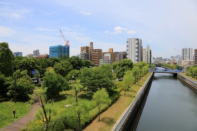 �ץ饦�ɥ���ھ����