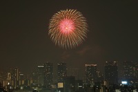 ��23���������ڲк�