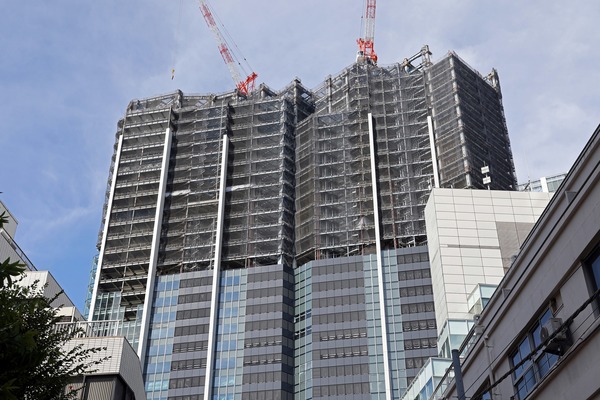 (����)��ë�غ��ָ��϶�����Ƴ�ȯ���� A����