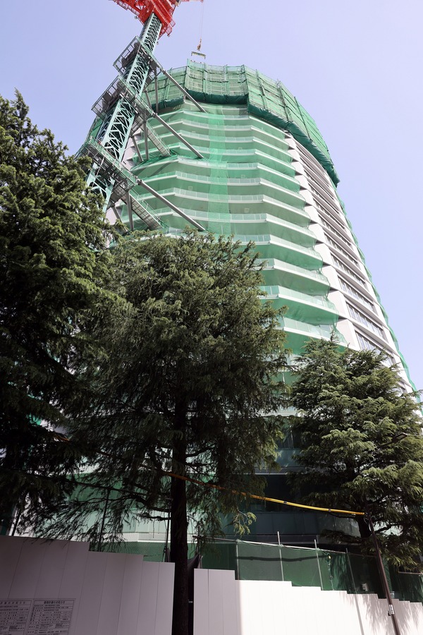 �ѡ��������������ɥ���