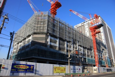 �֥�ꥢͭ�����������