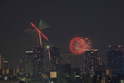 ��23���������ڲк�