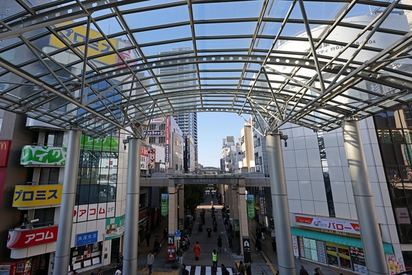 �ץ饦�ɥ�������������