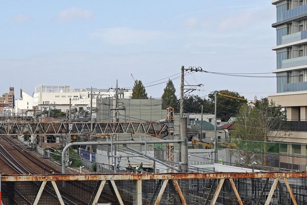 ��Į���϶�����Գ��ϺƳ�ȯ����