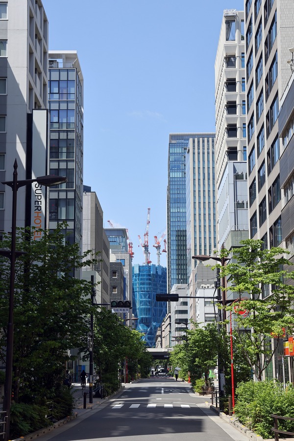 Torch Tower�ʥȡ��������