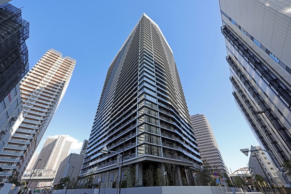 ��ӥ��������