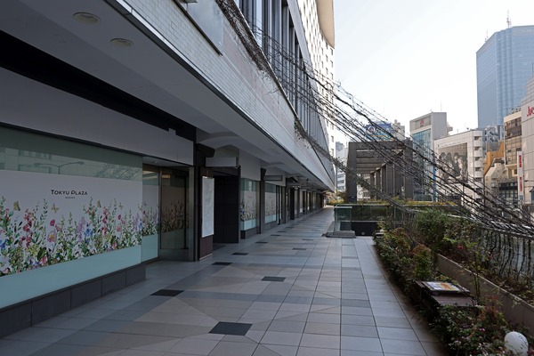 �����ư���ֺ�ӥ�