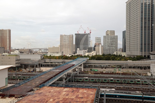 ��ӥ��������