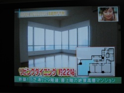 ���ͤΥ֥���