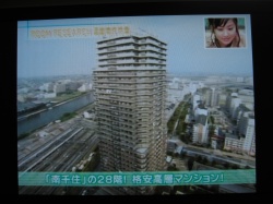 ���ͤΥ֥���