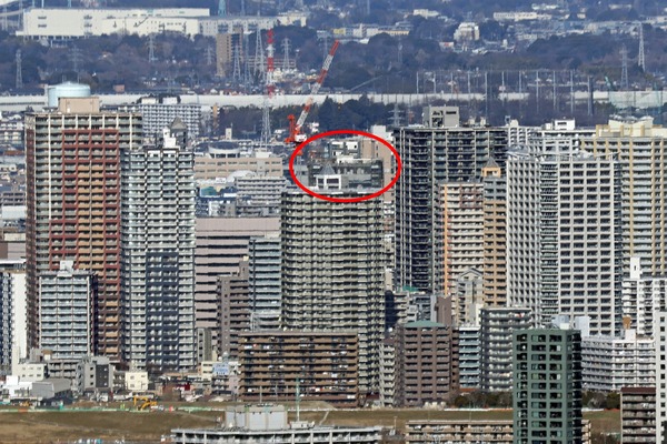 �ѡ�����������Į