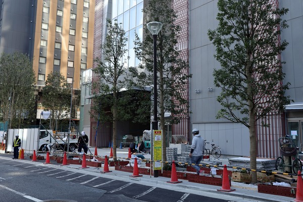 ÅìµÞ²ÎÉñ´ìÄ®¥¿¥ï¡¼