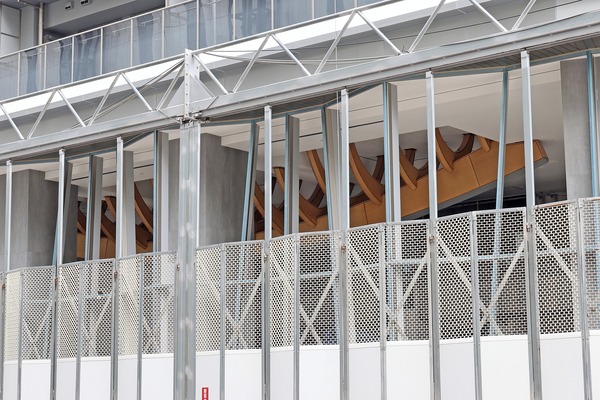 ��ӥ��������