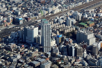 �����������϶�ζ���