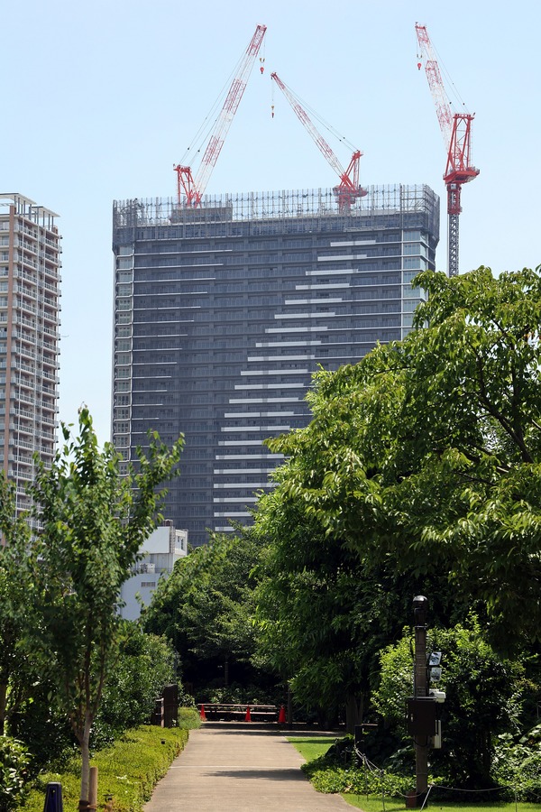 ��ӥ��������