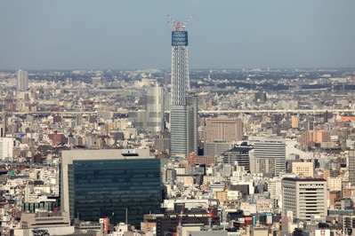 ��������������������ĥ꡼